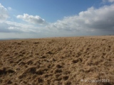 Ringmoor Down Cairn 4 - PID:108483