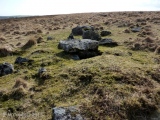 Ringmoor Down Cairn 2 - PID:108352