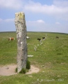 Drizzlecombe menhir 1 - PID:36475