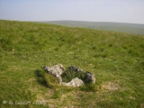 Drizzlecombe cist 21 - PID:36256