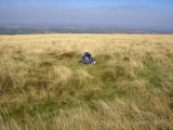 Cosdon Hill cairn 9 - PID:45032