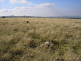 Sticklepath stone circle - PID:45029