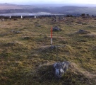 Collard Tor W - PID:124792