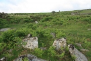 Gidleigh Chambered Cairn - PID:183524
