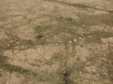 Sittaford Stone Circle - PID:132685