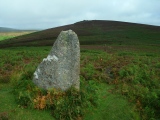 Challacombe Down Standing Stone - PID:112289