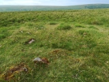 Stalldown Stone Row Cairn E - PID:236019