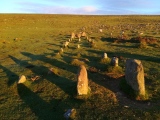 Cosdon Hill Multiple Stone Rows - PID:228730