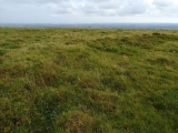 Stalldown Ring Cairn Circle - PID:236029