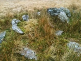 Sittaford Tor Cairn - PID:222543