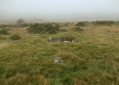 Chittaford Down Platform Cairn Circle and Cist - PID:144459