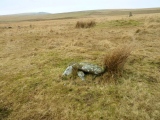 Drizzlecombe Cist 6 - PID:164772