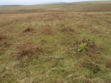 Drizzlecombe cairn 14 - PID:164773