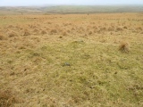 Drizzlecombe cairn 14 - PID:164774