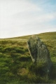 White Moor Stone - PID:107420