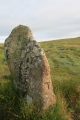 White Moor Stone - PID:183504