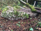 Salcombe Hill Standing Stone - PID:180360