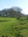 Cadbury Castle (Devon) - PID:87633