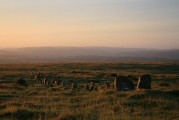 Cosdon Hill Multiple Stone Rows - PID:183501