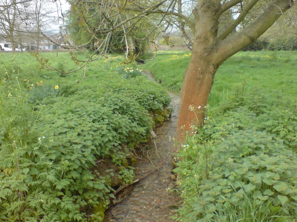 St Thomas a Becket's Well