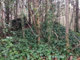 Lousyberry Wood Tumuli - PID:175509