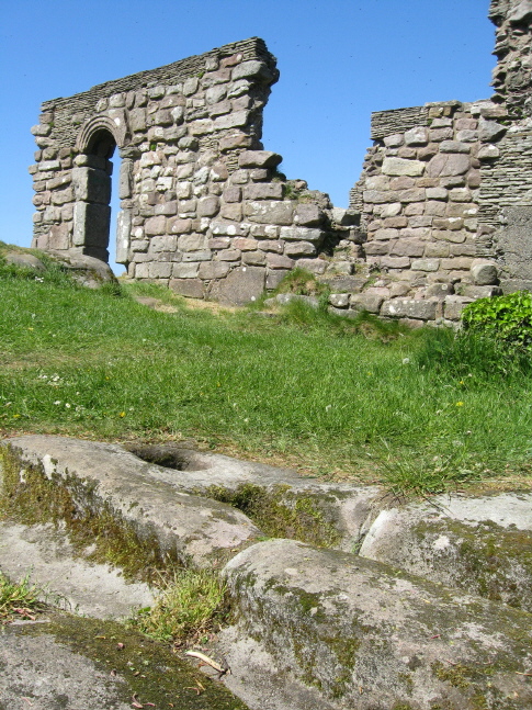 Beside the two rock-cut tombs, to the SE of St Patrick's chapel, looking towards the ruins.