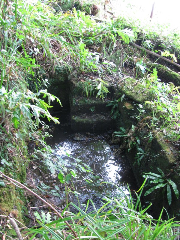 Marsden Well/Spring