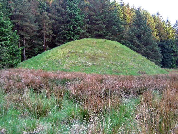 Brown Hills Beck