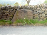 The Lark Hill Stone (Whitemoor) - PID:258172