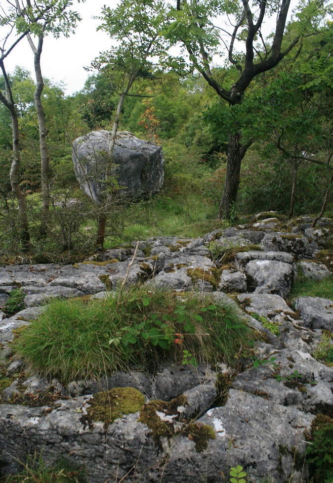 The limestone outcrop and the middle brother.