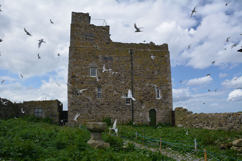 St. Cuthbert's Well (Farne Islands)