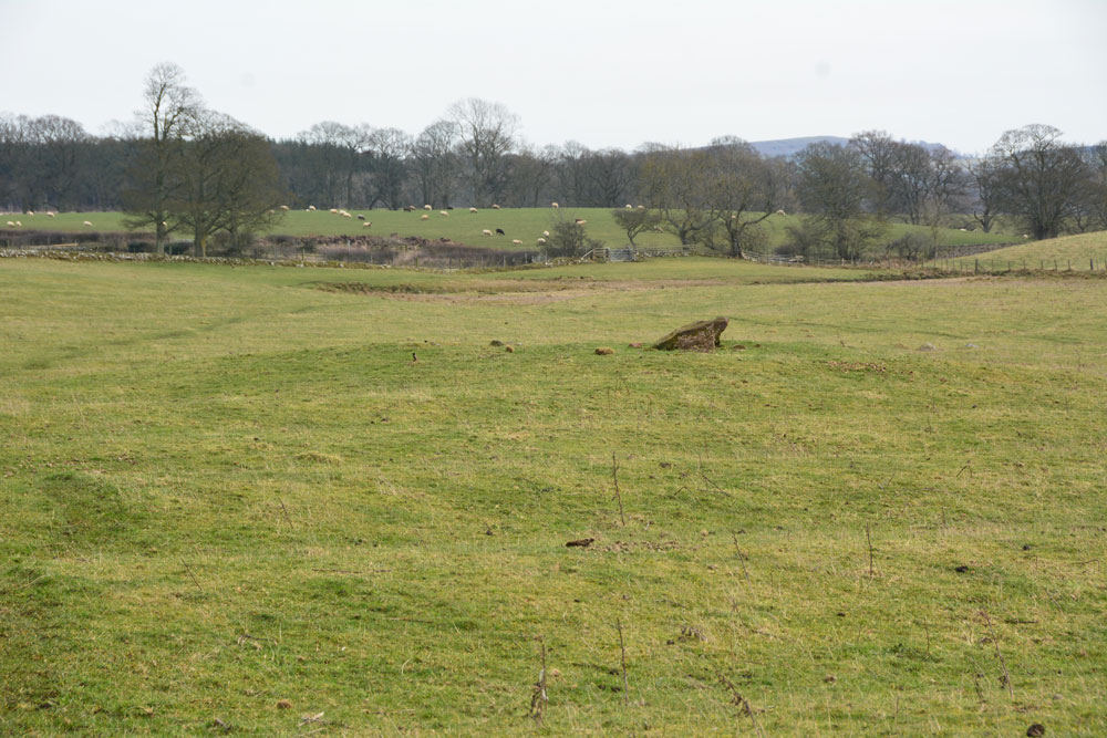 The Fawns (Kirkwhelpington)