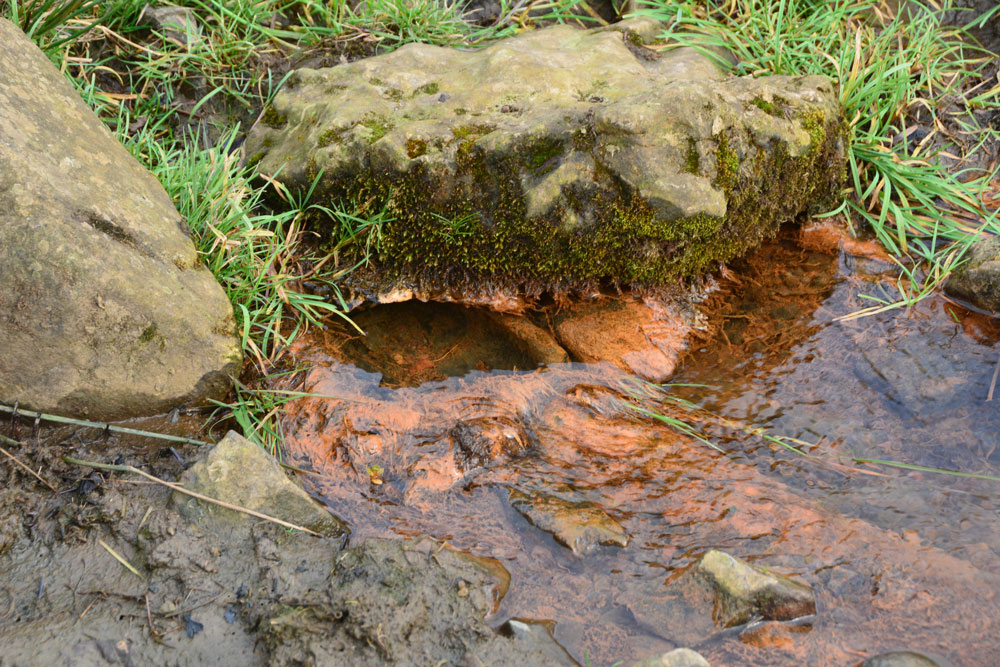 St Mary's Well (Kirkwhelpington)