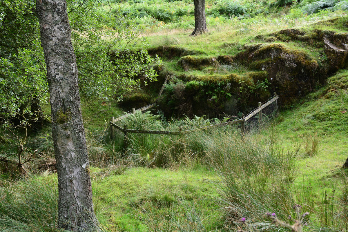 Crag Well (Bellingham)