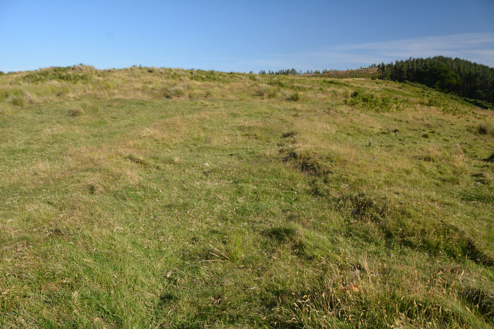 The apparent double ditch (robbed out rampart, giving the appearance of a double rampart) on the eastern side of the enclosure.  The wood in the distance is where the Beanley Plantation Hillfort is located. 
