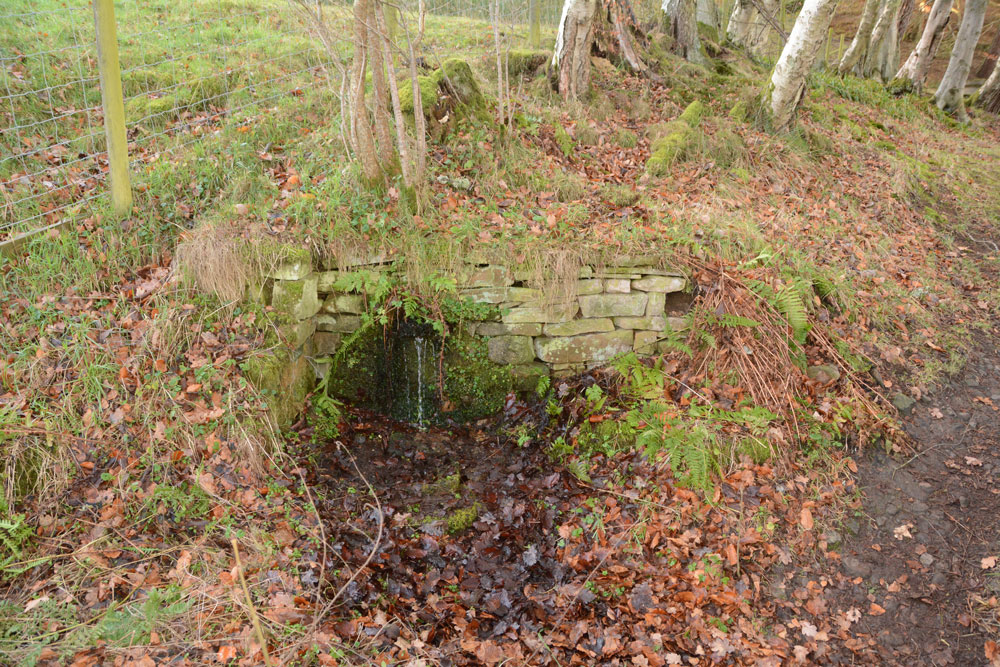 Tommy Stout's Well (Thornley Gate)