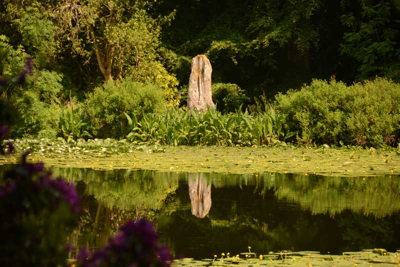 Wallington Hall Standing Stone