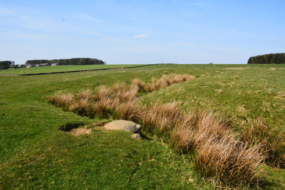 West Howden Hill