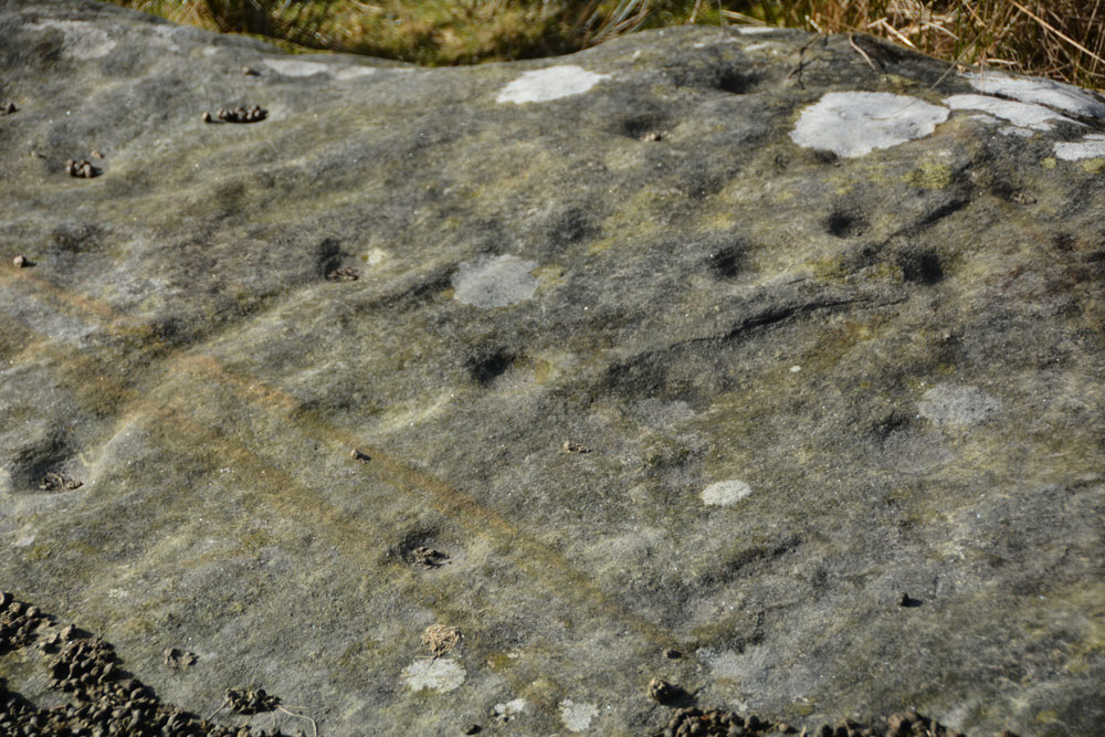 Close up of some of the cups on the western part of the outcrop.  There were clear bands of iron staining across the rock.