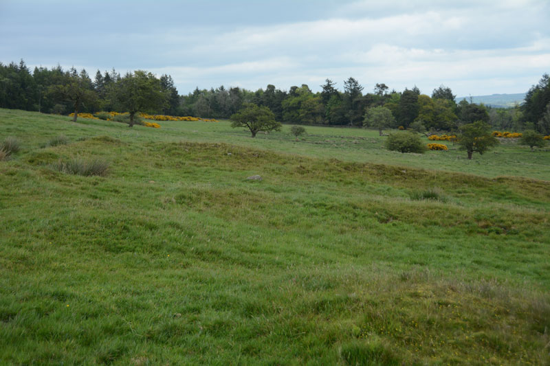 Walwick Fell