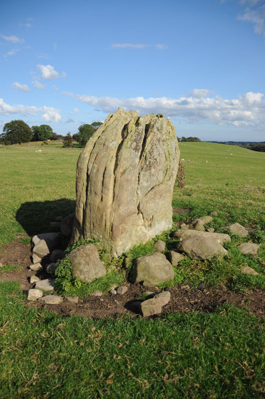 This photograph shows the southern face of the standing stone, looking north eastwards.