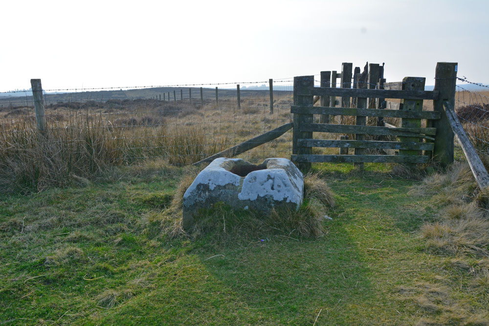 Steng Cross and Winter's Gibbet (Elsdon)