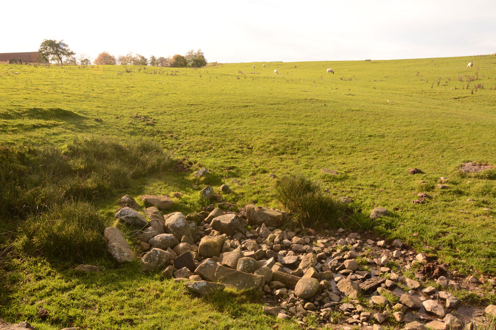 Lady Well (Bavington)