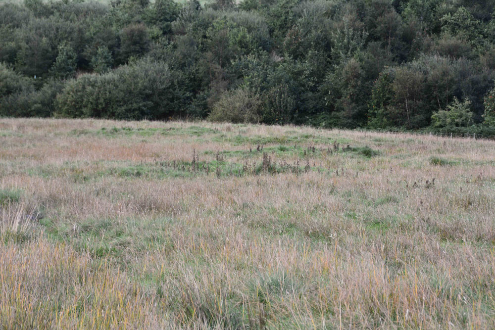 Elsdonburn Shank Shielings (Kilham)