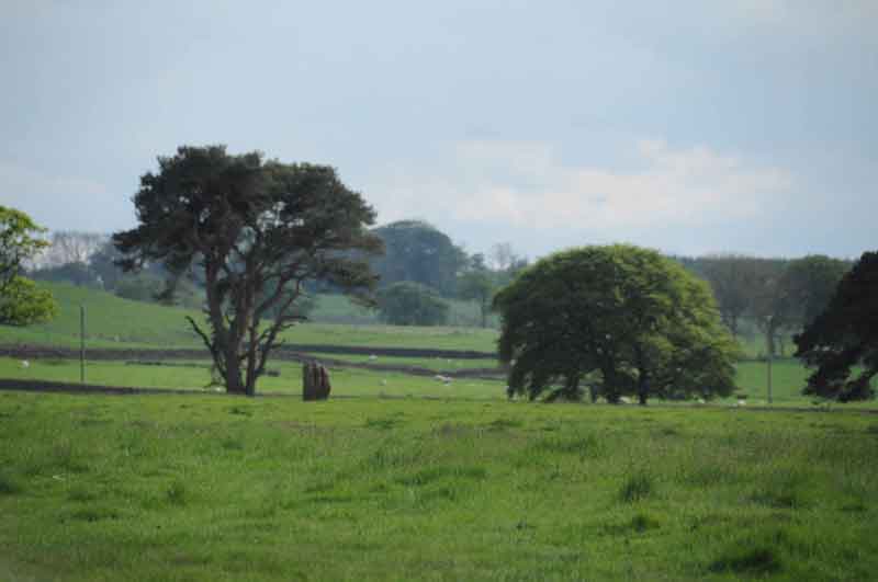Middleton Standing Stone in the context of the landscape, looking towards the south west.  
