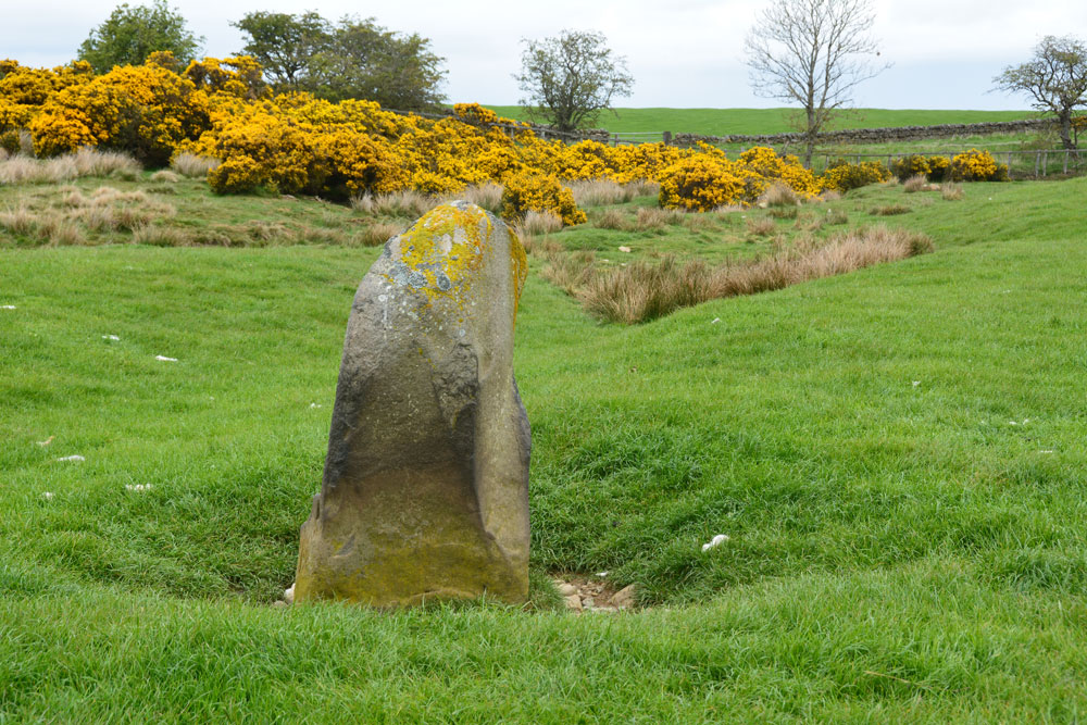 The Hanging Stone (Haydon)