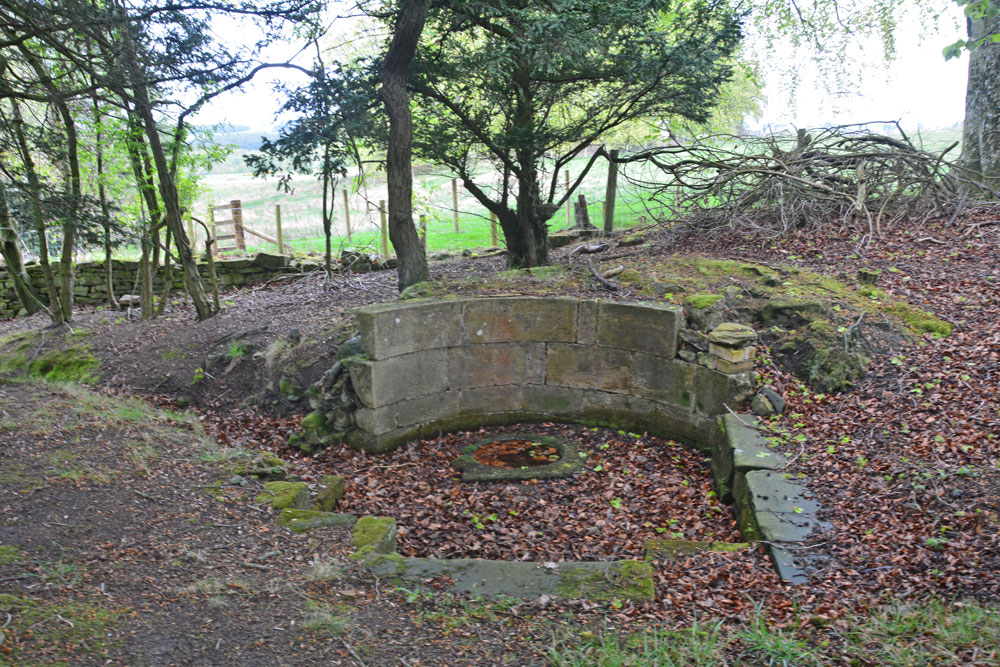 St George's Well (Minsteracres)