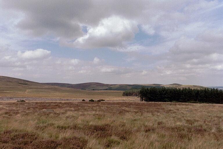 Part of the Burnham family trip to Northumberland, August 2002