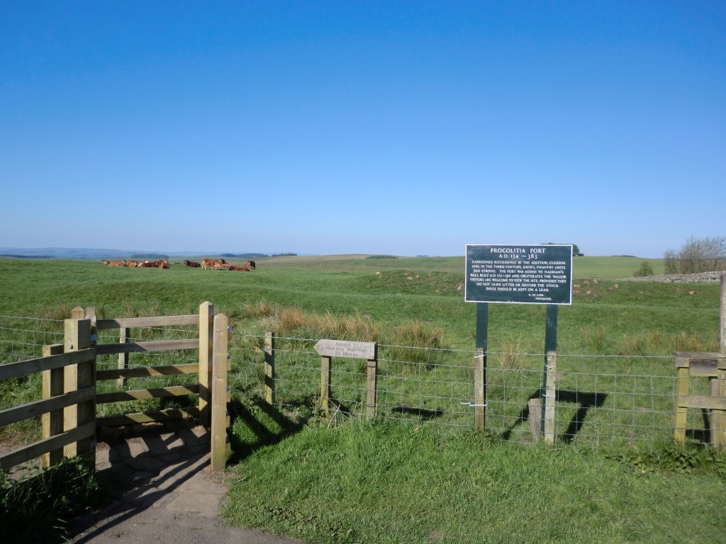 Carrawburgh Roman Fort