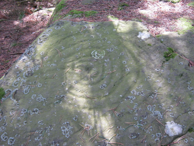 Weetwood Moor Plantation Rock